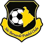 ساو بيرناردو